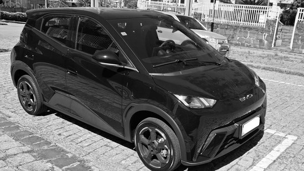 BYD Dolphin Mini estacionado em rua do Brasil