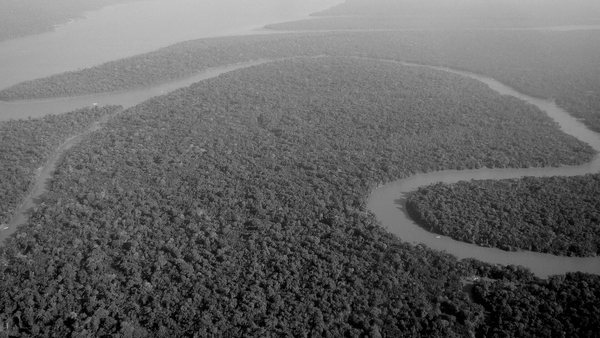 Vista aérea da floresta amazônica