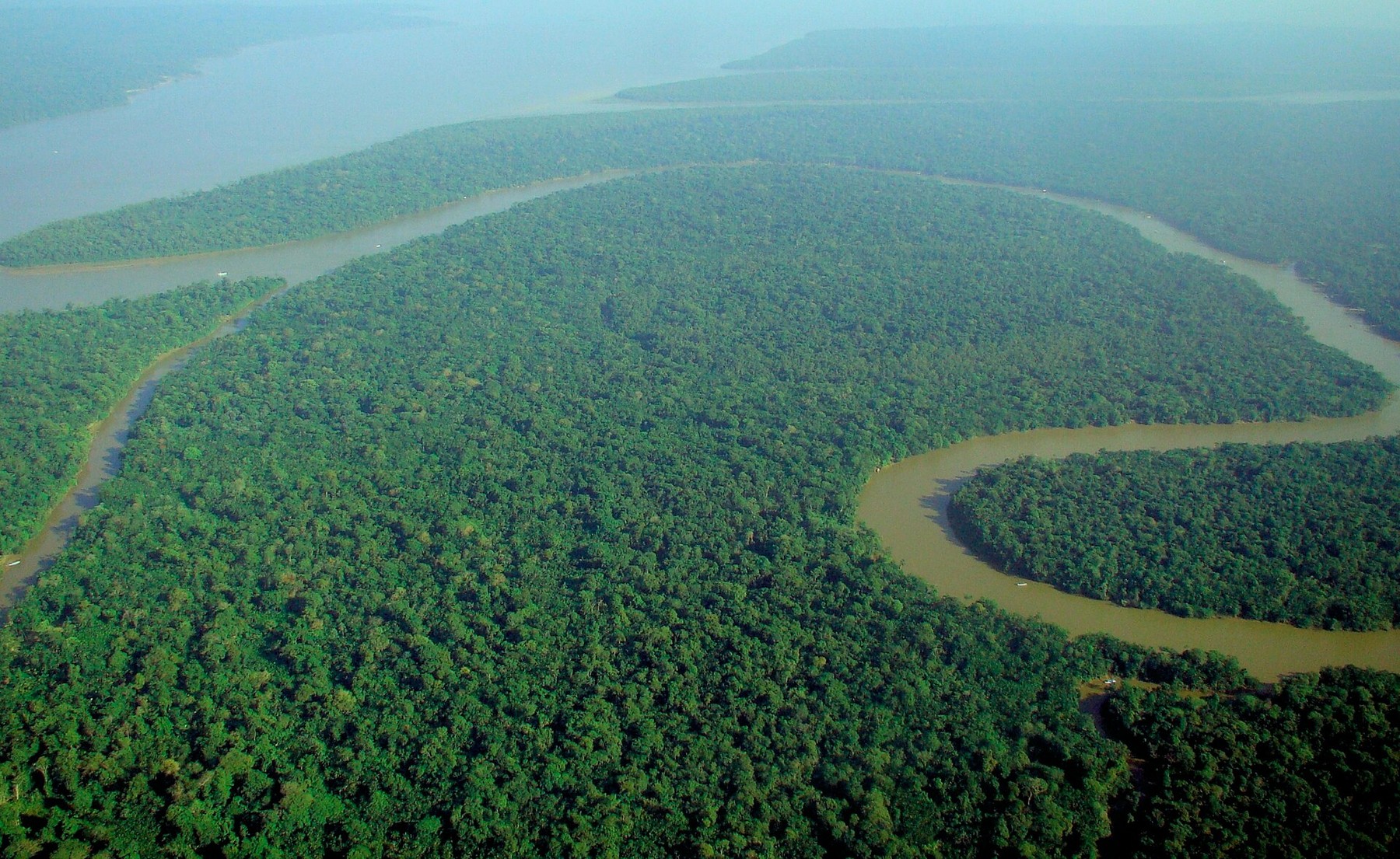 Vista aérea da floresta amazônica