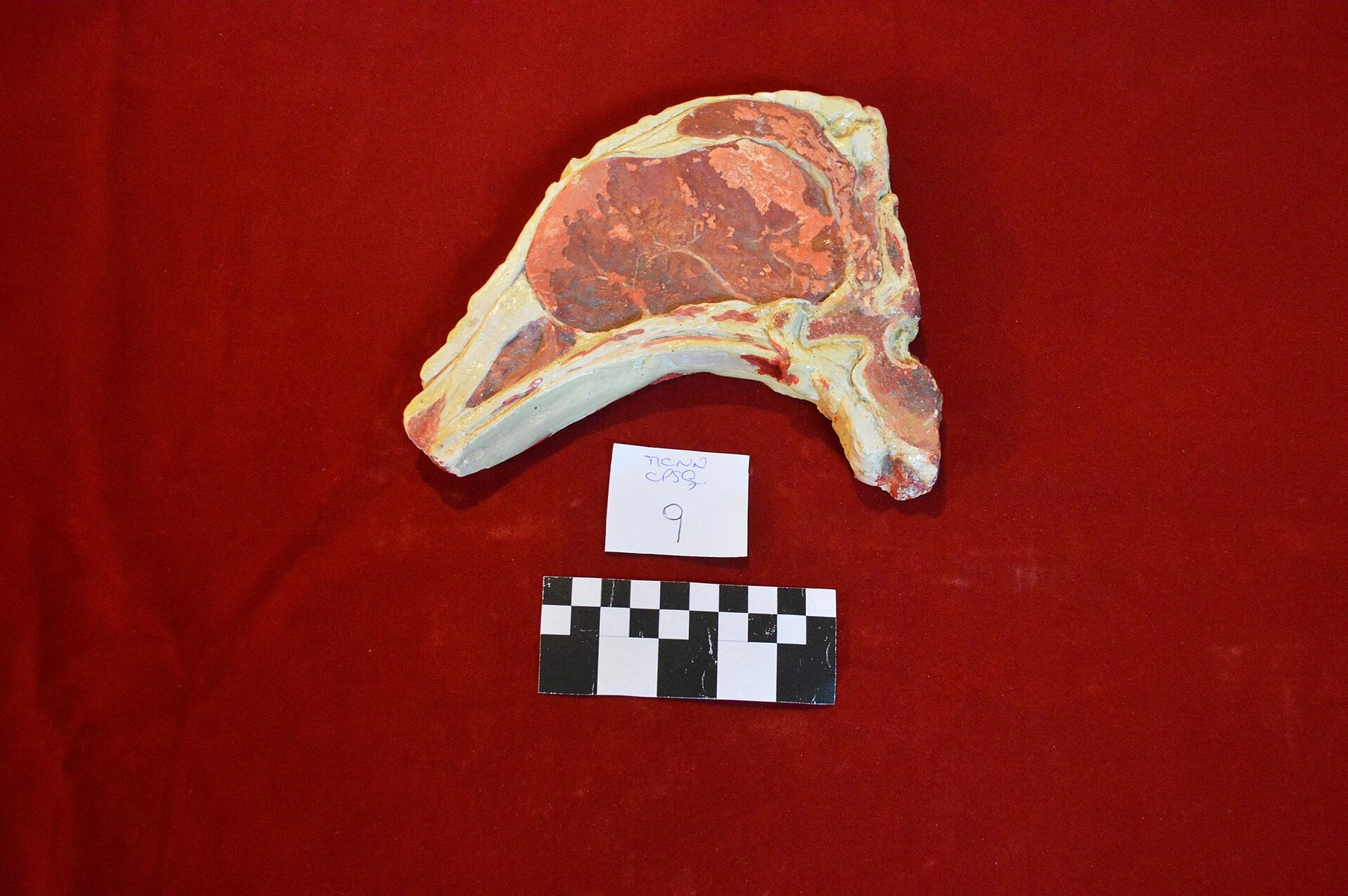 Capa do artigo Nas barreiras às carnes brasileiras, o frango merece mais atenção que o boi